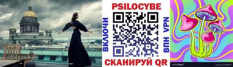 Псилоцибиновые грибы Magic Shrooms  даркнет сайт  Черняховск 